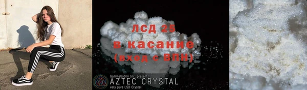 крисы Алзамай